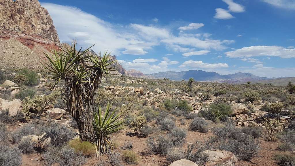 Black Velvet Canyon Trail | Black Velvet Rd, Las Vegas, NV 89161, USA