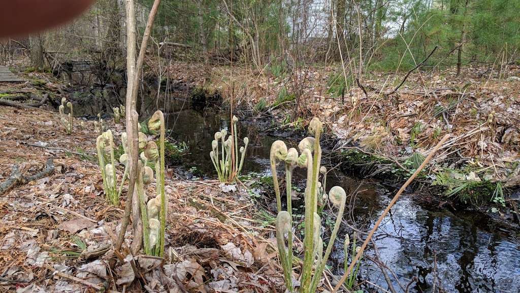 Acton Arboretum | 2 Taylor Rd, Acton, MA 01720, USA | Phone: (978) 264-9631