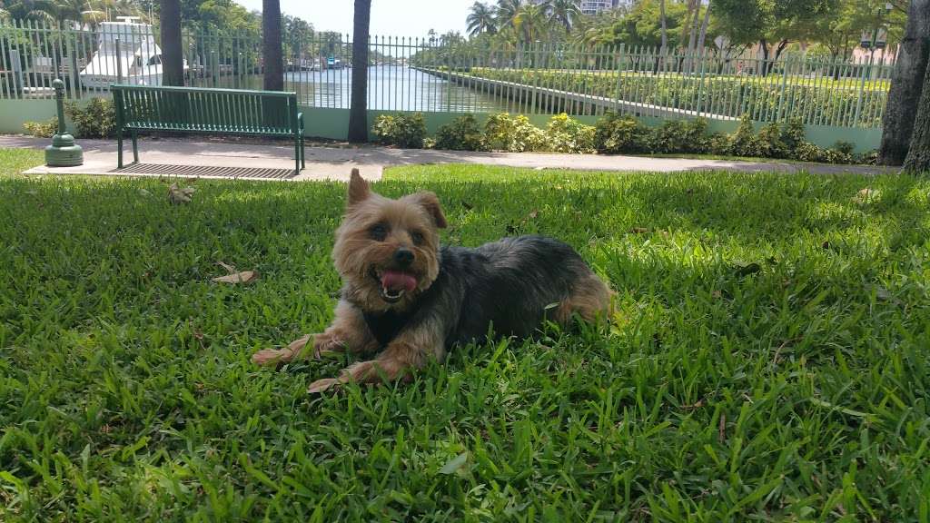 Waterways Dog Park | 3401 NE 213th St, Aventura, FL 33180, USA | Phone: (305) 466-8008