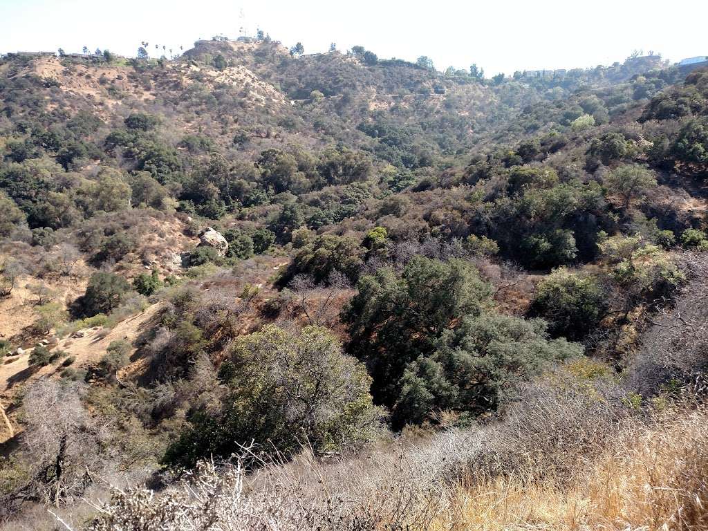 Fryman Canyon Park | 8401 Mulholland Dr, Studio City, CA 91604 | Phone: (310) 456-7049