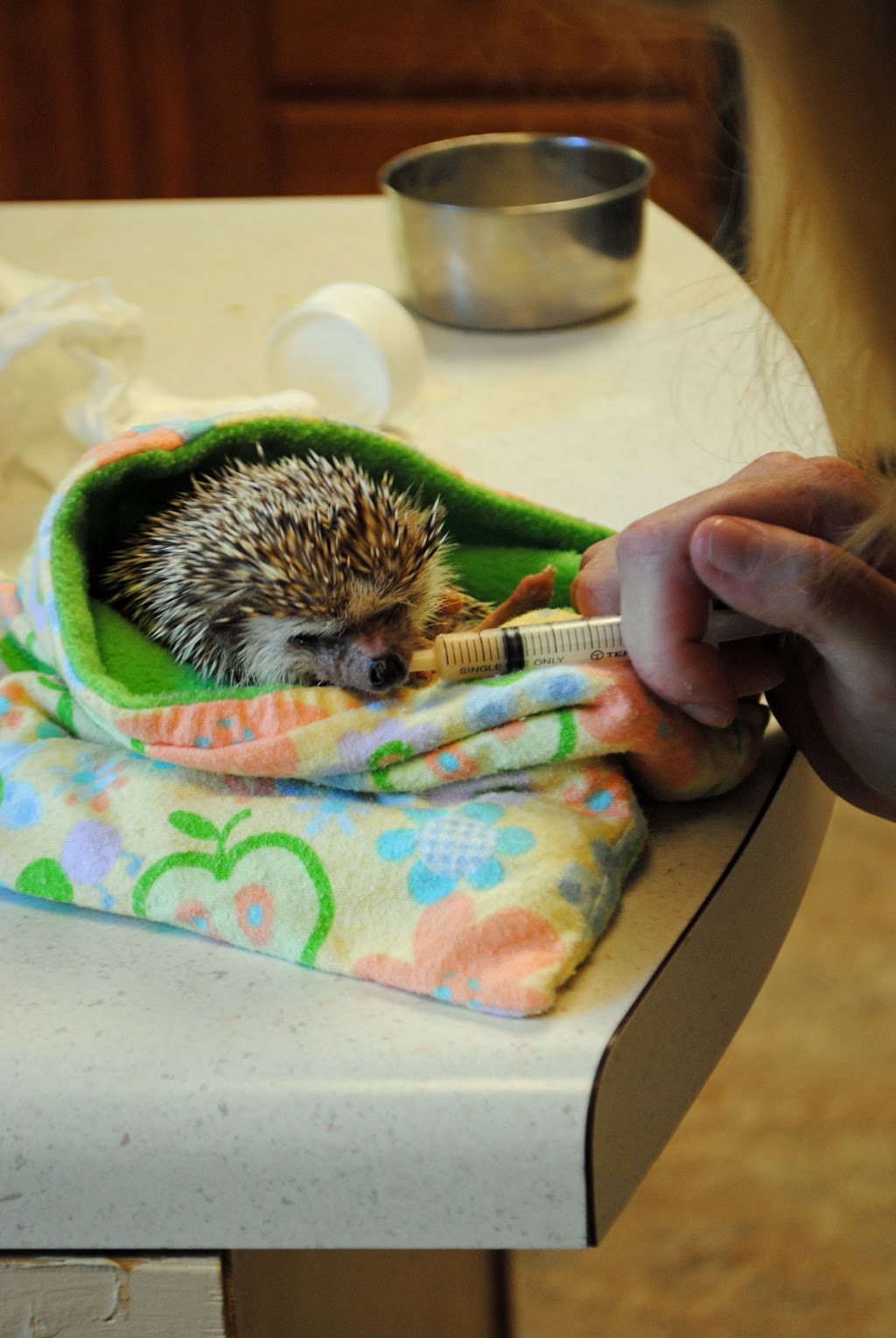 Avian and Exotics Center of Nashville | 3806 Old Hickory Blvd, Old Hickory, TN 37138, USA | Phone: (615) 360-0944