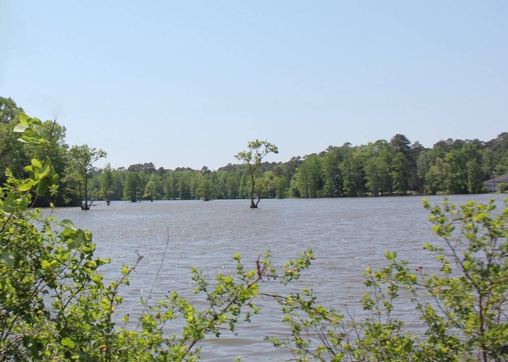 Stumpy Lake Natural Area | 4797 Indian River Rd, Virginia Beach, VA 23456, USA | Phone: (757) 385-1100