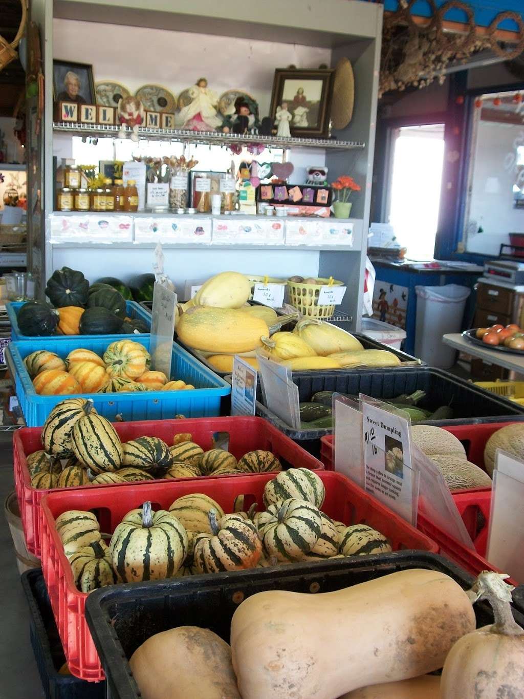 Tigges Farm | 9342, 12404 County Rd 64 1/2, Greeley, CO 80631, USA | Phone: (970) 686-7225