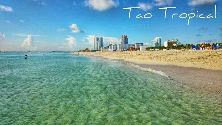 Tao Tropical Corp | 1410 20th St #203, Miami Beach, FL 33139, USA | Phone: 348 611 1948