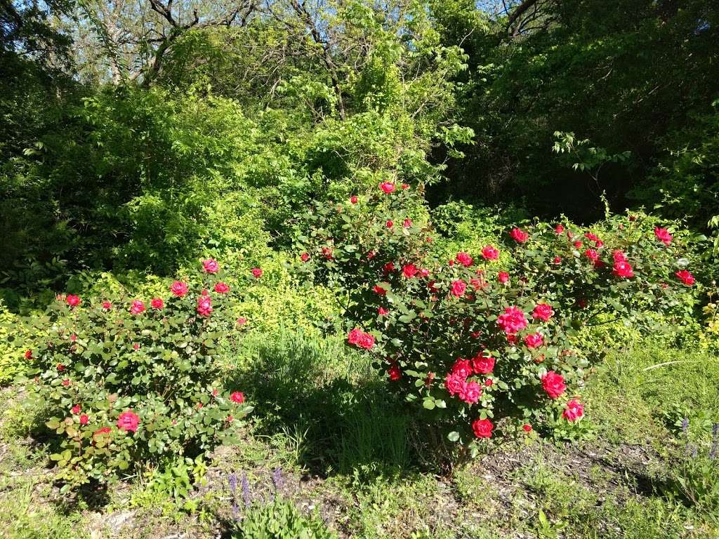 Bear Creek Nature Park | 1300 Bear Creek Rd, Lancaster, TX 75146, USA