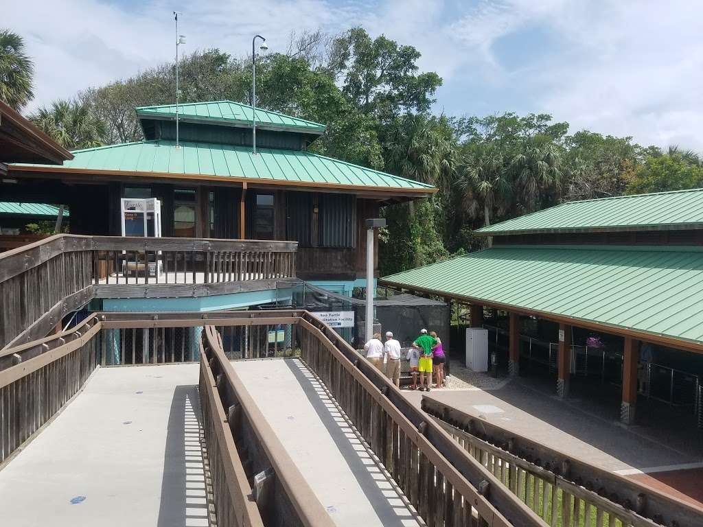 Gumbo Limbo Nature Center | 1801 N Ocean Blvd, Boca Raton, FL 33432 | Phone: (561) 544-8605