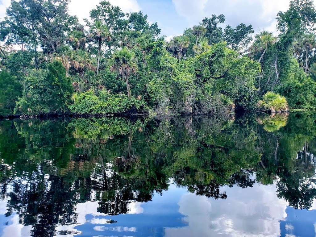 Alexander Springs Recreation Area | Florida, USA