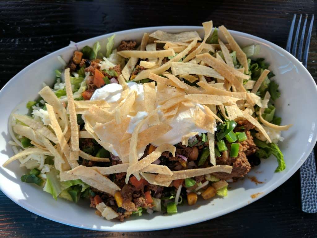 Ollies Duck & Dive | 29169 Heathercliff Rd #102, Malibu, CA 90265, USA | Phone: (310) 589-2200