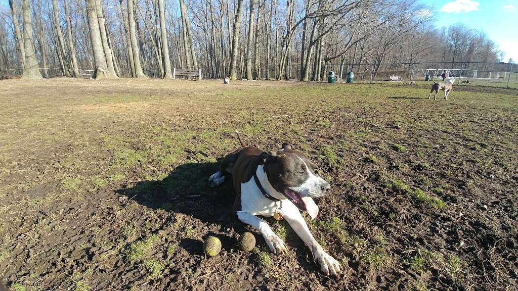 Thompson dog park | Fir Dr, Monroe Township, NJ 08831 | Phone: (732) 246-8311