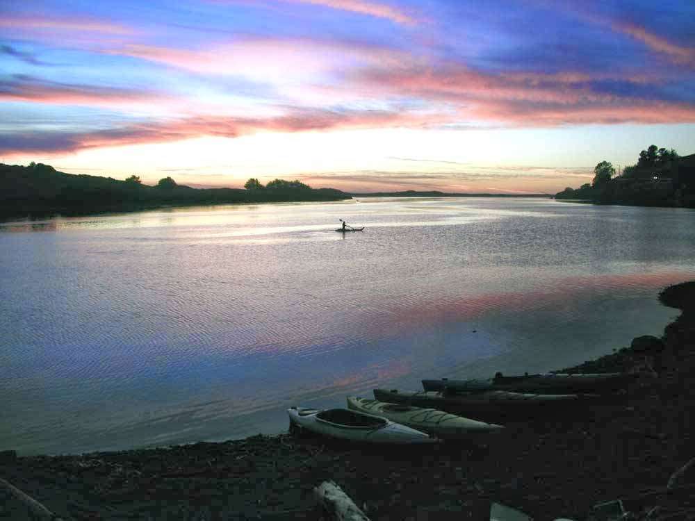 WaterTreks EcoTours And Kayak Rentals | Highway 1, PO Box 39, Boat Launch Beach Area, Jenner, CA 95450, USA | Phone: (888) 865-2249