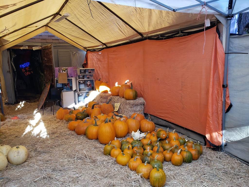 Piedmont Avenue Pumpkin Patch | 4414 Piedmont Ave, Oakland, CA 94611, USA | Phone: (510) 967-9363