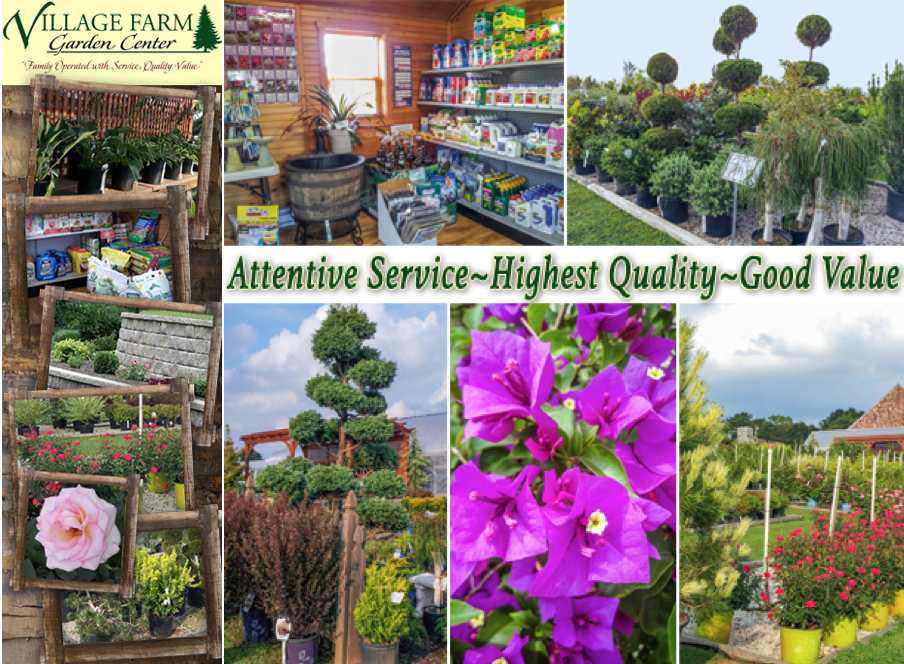 Village Farm Garden Center | 1520 Division Hwy, Ephrata, PA 17522, USA | Phone: (717) 733-3000