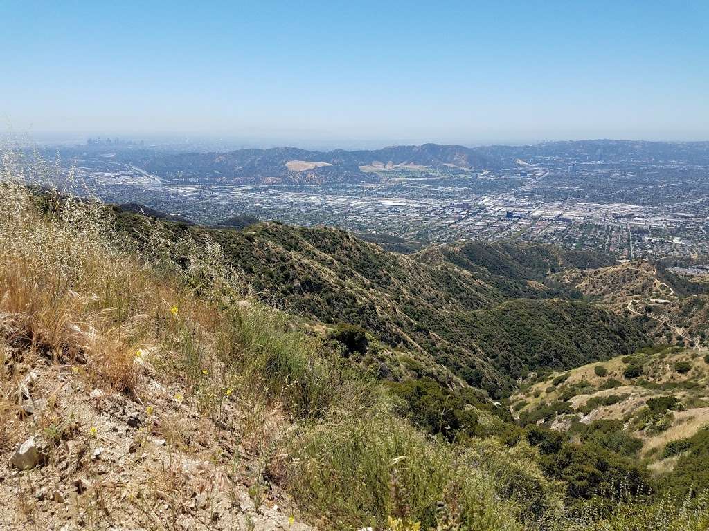 Tree Of Life | 3.79 Miles from Base at Stough Canyon Nature Center. Elevation: 2,940 ft, Sun Valley, CA 91352, USA