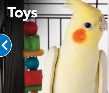 PetSmart | 1623 E Main St, Lincolnton, NC 28092, USA | Phone: (704) 276-7445
