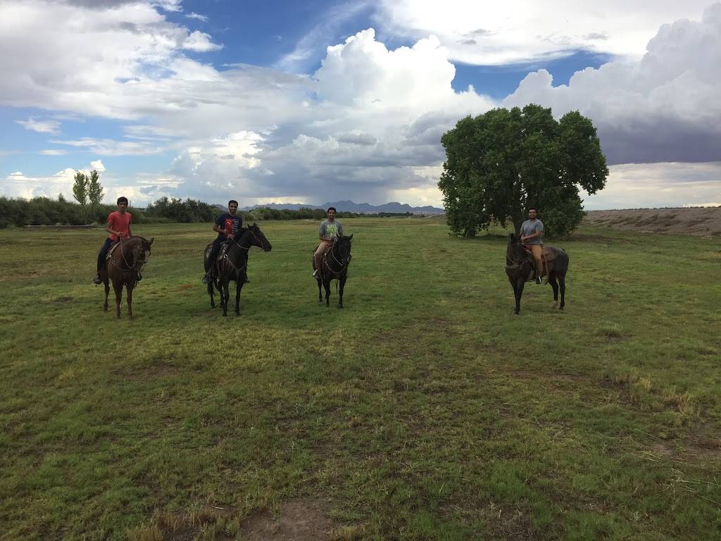 Trail Rides in El Paso @ Taylor Ranch | Photo 3 of 9 | Address: 330–338, FM259, Canutillo, TX 79835, USA | Phone: (915) 472-3519
