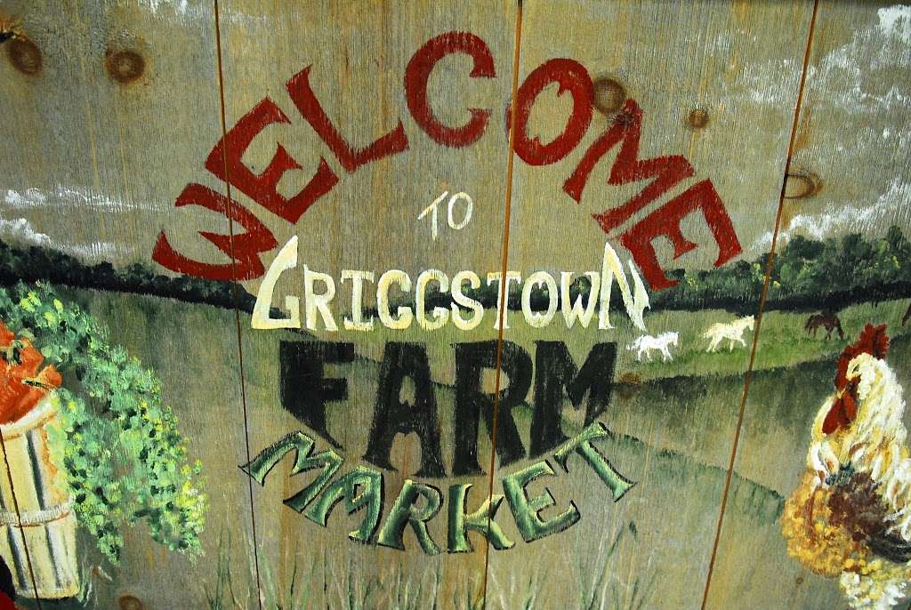 Griggstown Farm | 484 Bunker Hill Rd, Princeton, NJ 08540 | Phone: (908) 359-5218