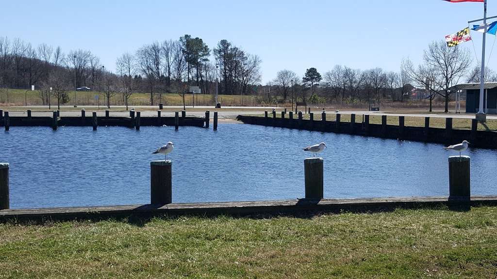 Federalsburg Marina and Recreation Park | Federalsburg, MD 21632