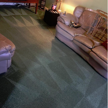 Mannys Carpet Cleaning & Repairs | 11346 Hudson Hills Ln, Riverview, FL 33579 | Phone: (813) 358-0345