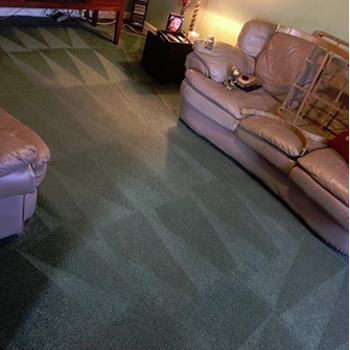 Mannys Carpet Cleaning & Repairs | 11346 Hudson Hills Ln, Riverview, FL 33579, USA | Phone: (813) 358-0345