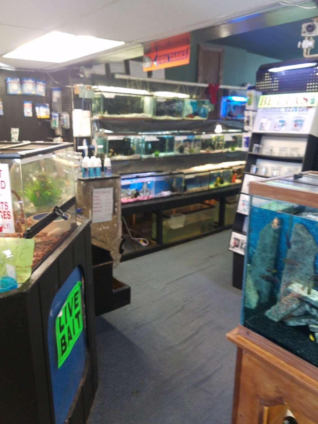 Woodlawns Tropical Fish & Pet | 5804 Windsor Mill Rd, Gwynn Oak, MD 21207, USA | Phone: (410) 944-1129