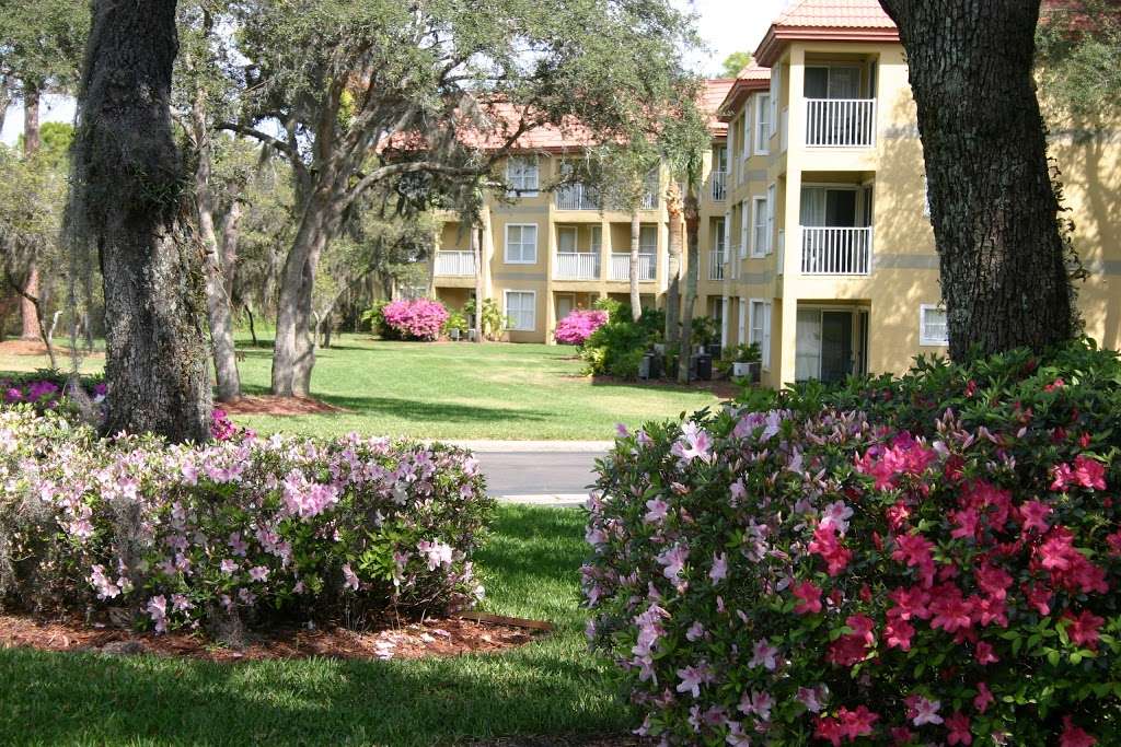 Parc Corniche Condominium Suite Hotel | 6300 Parc Corniche Dr, Orlando, FL 32821 | Phone: (407) 239-7100