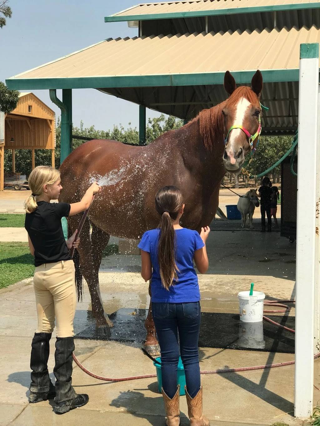 Kern Equestrian Academy | 6320 Krebs Rd, Bakersfield, CA 93308, USA | Phone: (561) 901-6695