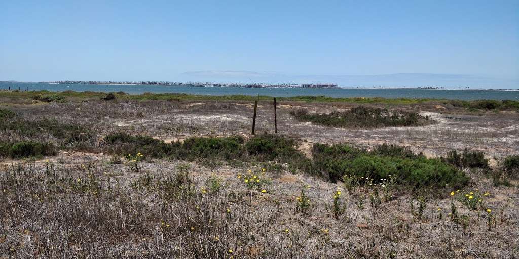 San Diego Bay National Wildlife Refuge | 1080 Gunpowder Point Dr, Chula Vista, CA 91910, USA | Phone: (619) 476-9150