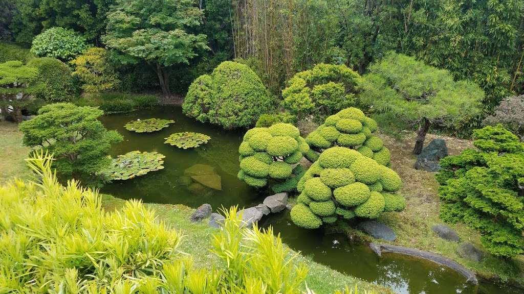 Japanese Tea Garden | San Francisco, CA 94118, USA