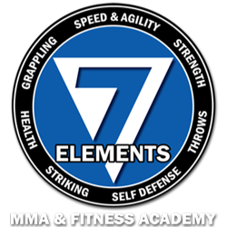 7 Elements Gym | 105 Parr Dr, Cornelius, NC 28031, USA | Phone: (704) 875-9501