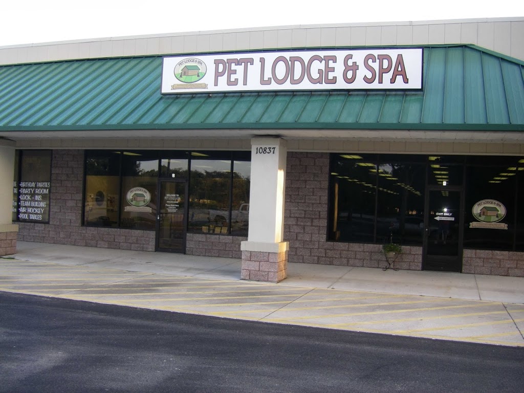 Pet Lodge & Spa | 10837 US Hwy 441 Suite 3 Next to, Home Depot, Leesburg, FL 34788, USA | Phone: (352) 253-0059