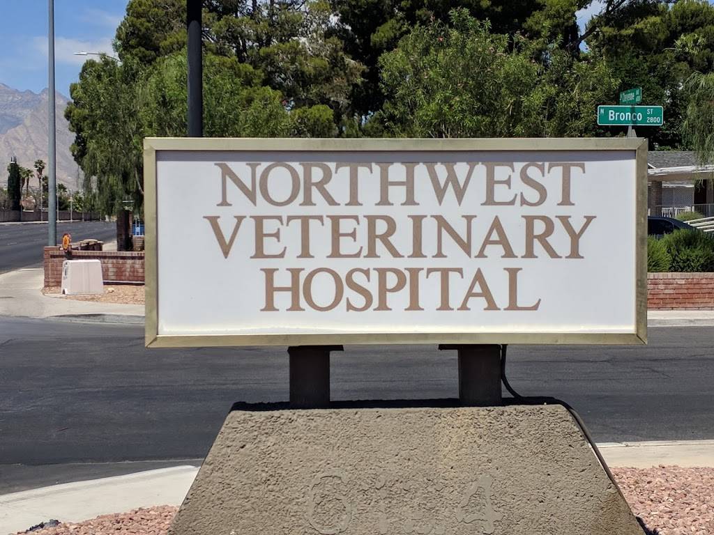 Northwest Pet Hospital | 6124 W Cheyenne Ave, Las Vegas, NV 89108, USA | Phone: (702) 645-7999