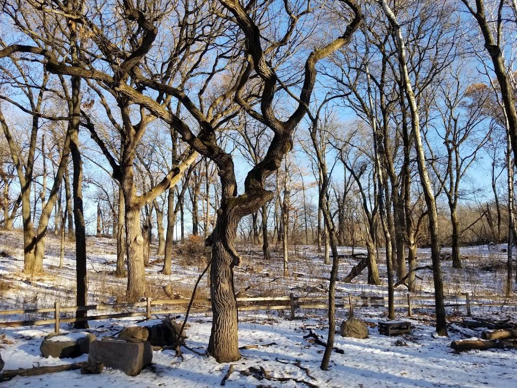 Richardson Nature Center | 8737 E Bush Lake Rd, Bloomington, MN 55438, USA | Phone: (763) 694-7676