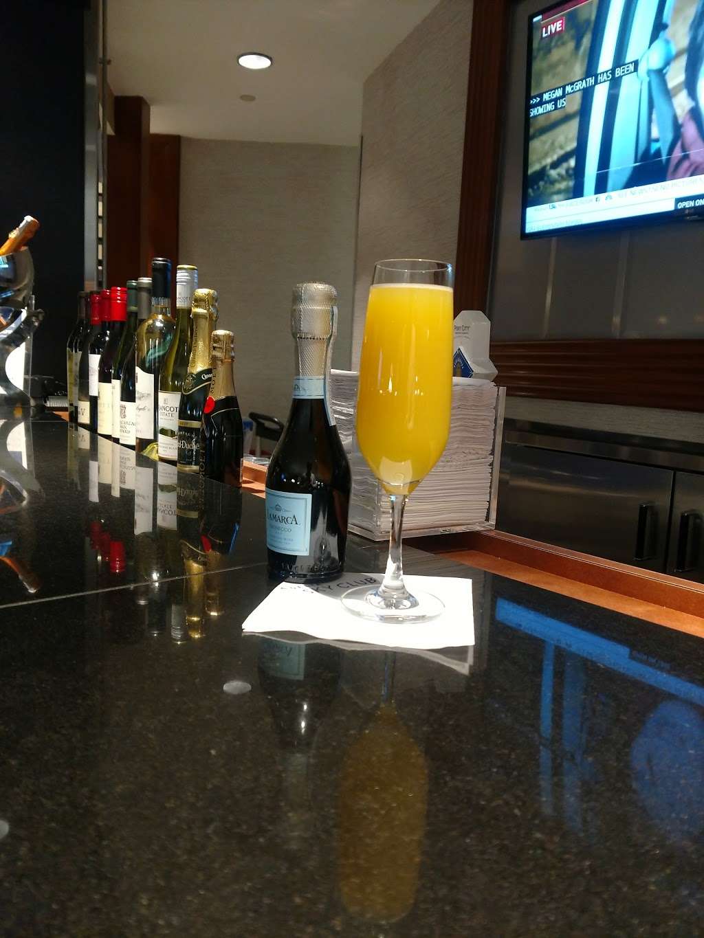 Delta Sky Club | 1 S Smith Blvd, Arlington, VA 22202, USA | Phone: (800) 323-2323