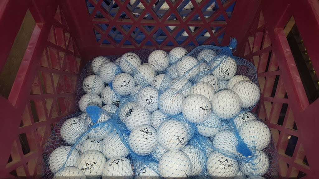 LostGolfBalls.com | 12505 Reed Rd #200, Sugar Land, TX 77478 | Phone: (866) 639-4819