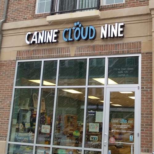 Canine Cloud Nine | 110 W Main St Suite #120, Carmel, IN 46032, USA | Phone: (317) 999-5444