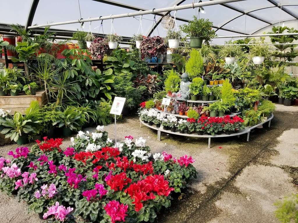 Great Swamp Greenhouses | 553 New Vernon Rd, Gillette, NJ 07933, USA | Phone: (908) 647-3725