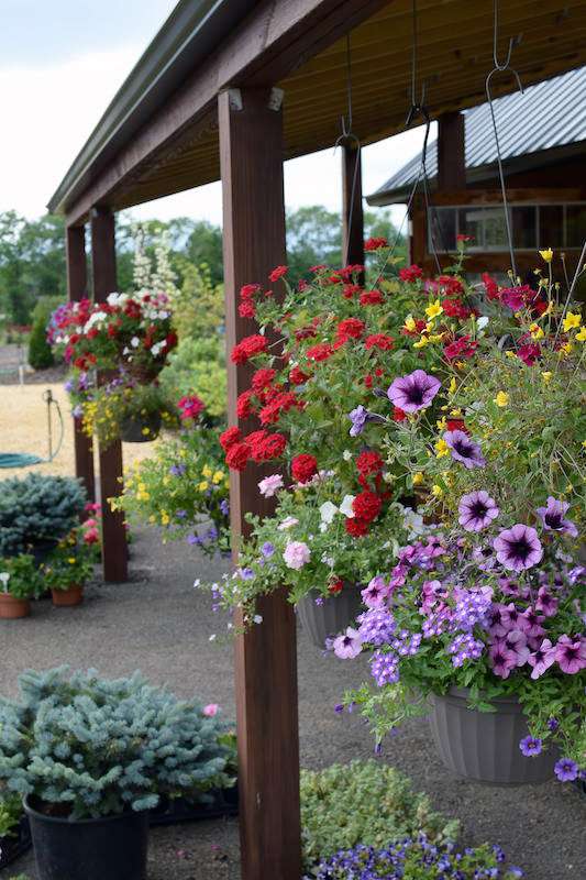 Hartland Flower & Garden Supply | 104 Millhurst Rd, Manalapan Township, NJ 07726, USA | Phone: (732) 620-5208