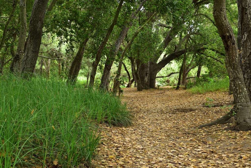 Penasquitos Canyon trail-head (south-east) | Los Penasquitos Canyon Trail, San Diego, CA 92129 | Phone: (858) 538-8000