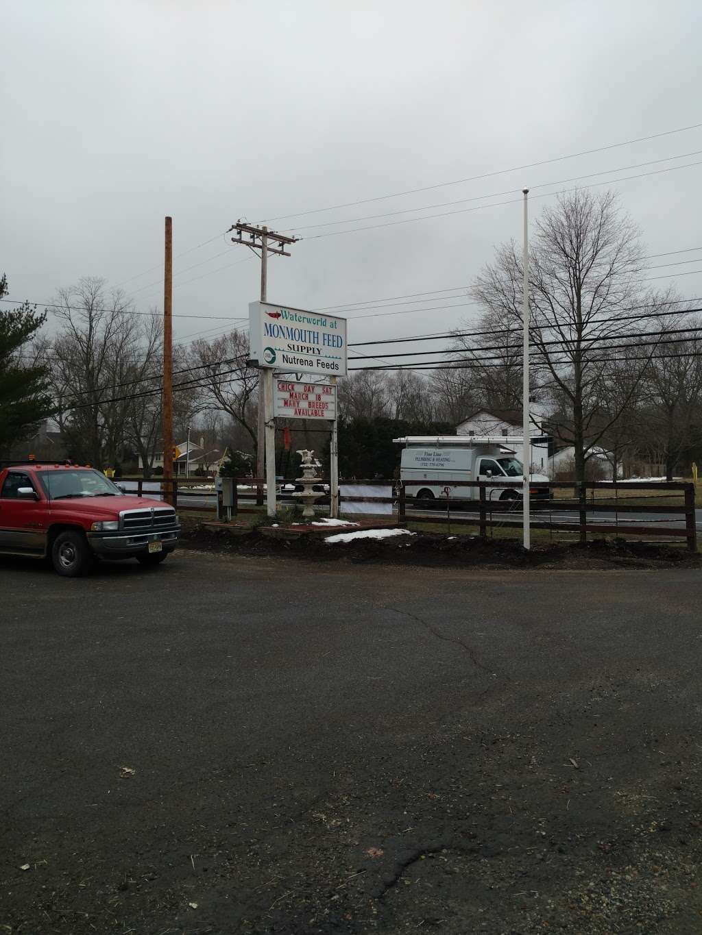 Monmouth Feed Supply Inc. | 294 Squankum Rd, Farmingdale, NJ 07727, USA | Phone: (732) 938-4646