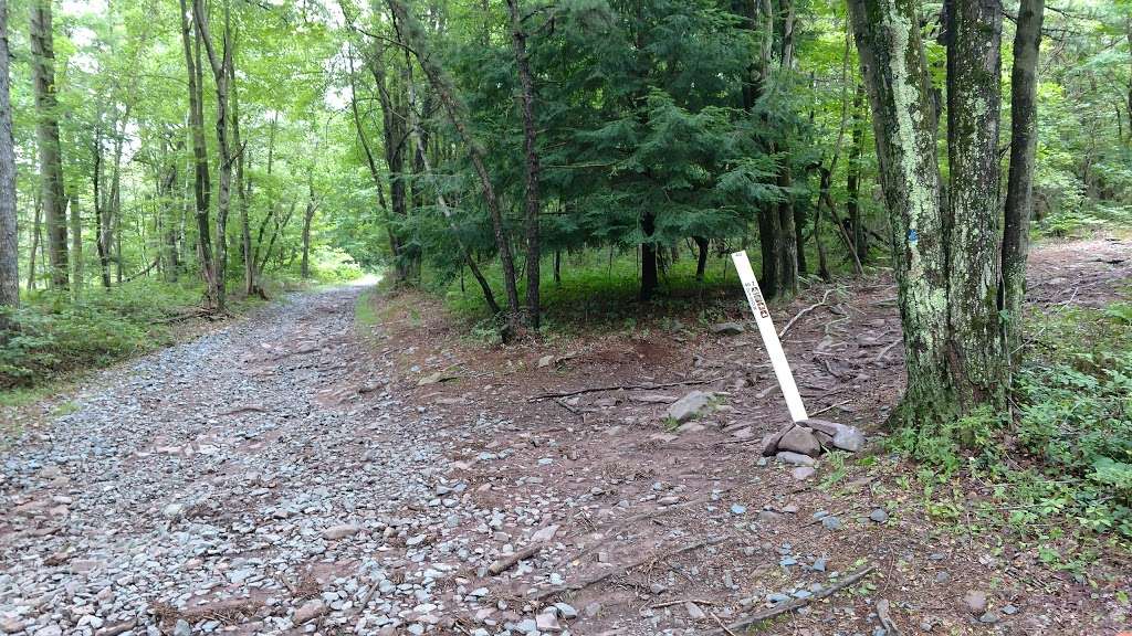 Pohopoco Tract ATV Trail | 167 Tower Rd, Albrightsville, PA 18210