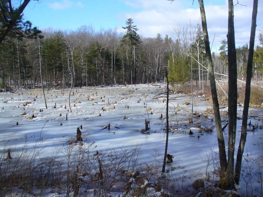 Mass Audubon's Rocky Hill Wildlife Sanctuary - Cardinal Lane, Groton ...