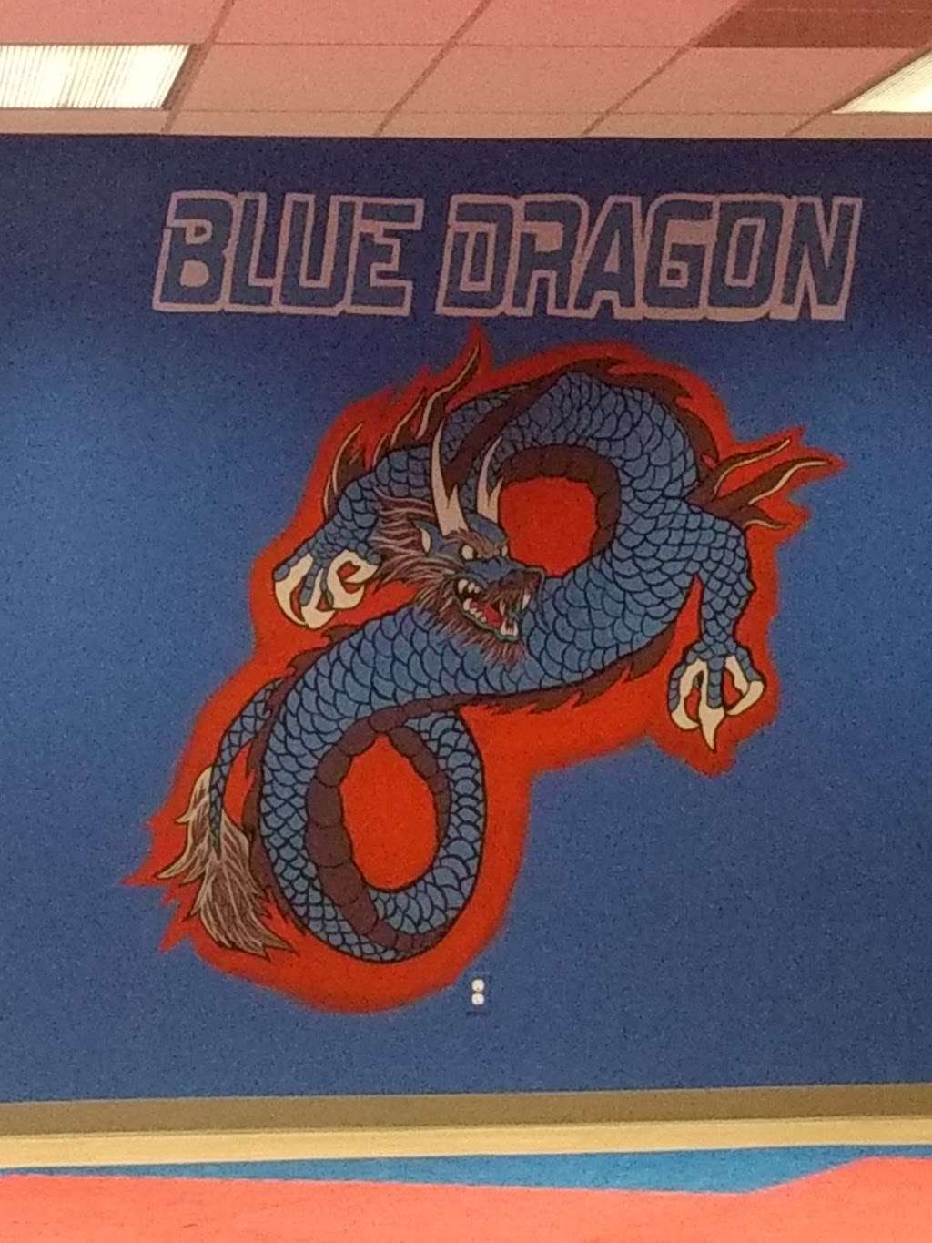 Blue Dragon Martial Arts | 100 U.S. 9, Manalapan Township, NJ 07726 | Phone: (732) 851-5690