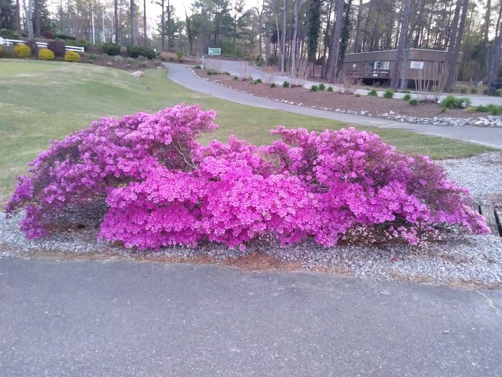 Travel Authority | 4033 Poplar Grove Rd, Midlothian, VA 23112, USA | Phone: (804) 744-3322