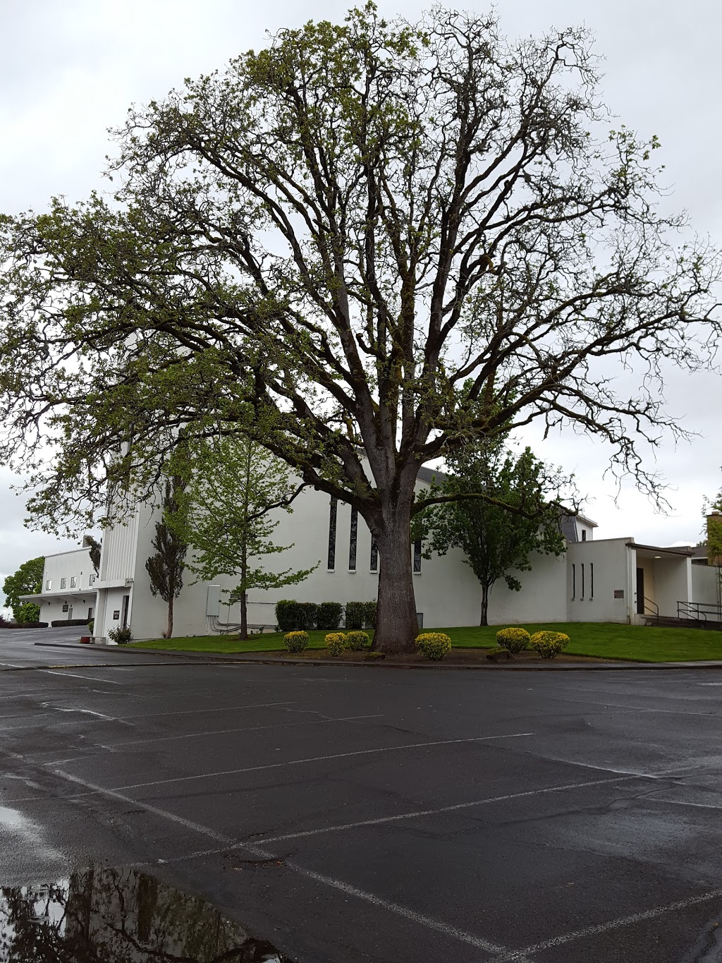 Bethany Baptist Church | 4545 NW Kaiser Rd, Portland, OR 97229, USA | Phone: (503) 645-2106