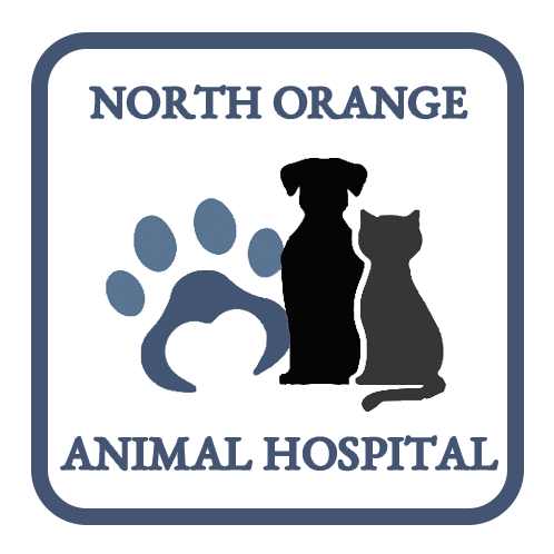 North Orange Animal Hospital | 1424 W Orange Blossom Trail, Apopka, FL 32712 | Phone: (407) 886-0706