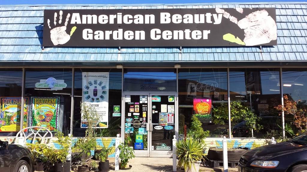 American Beauty Garden Center | 4400 E Independence Blvd, Charlotte, NC 28205, USA | Phone: (704) 334-8651
