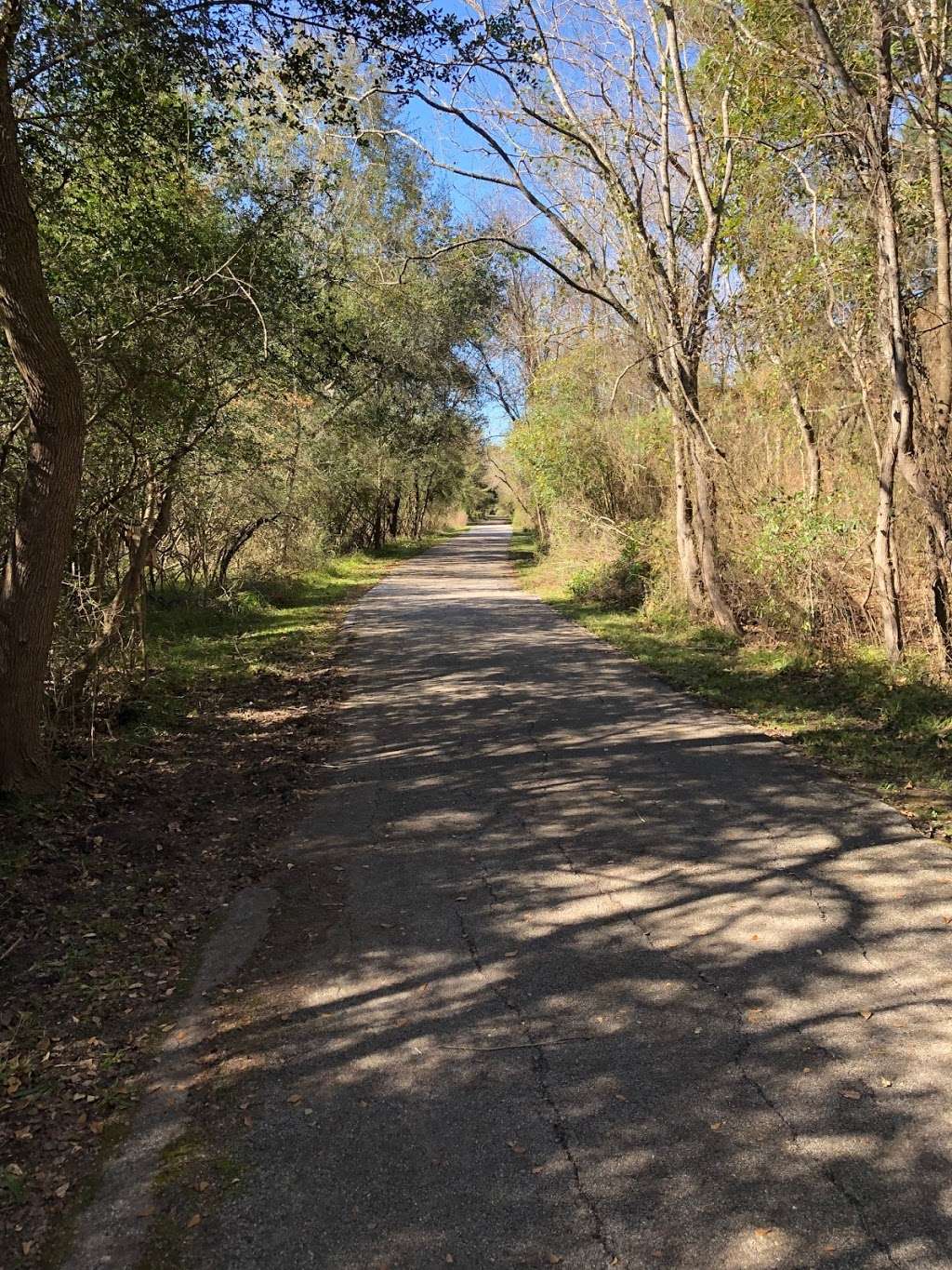 Bear Creek to langham Creek Trail | Patterson Rd, Houston, TX 77084