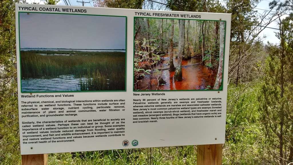 Shore Woods Bicycle Path | 10 St Lawrence Blvd, Brick, NJ 08723, USA