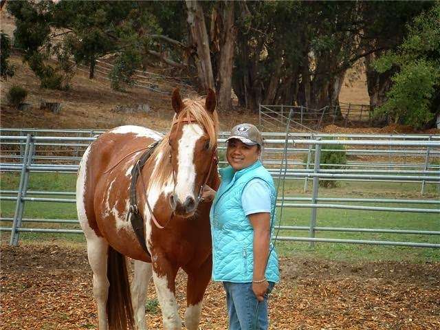 Janes Good Horses | 1 St Johns Mine Rd, Vallejo, CA 94591, USA | Phone: (925) 293-4627