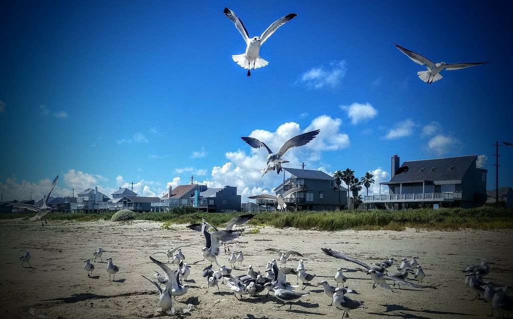 Sea Isle Beach | 21906 Kennedy Dr, Galveston, TX 77554, USA